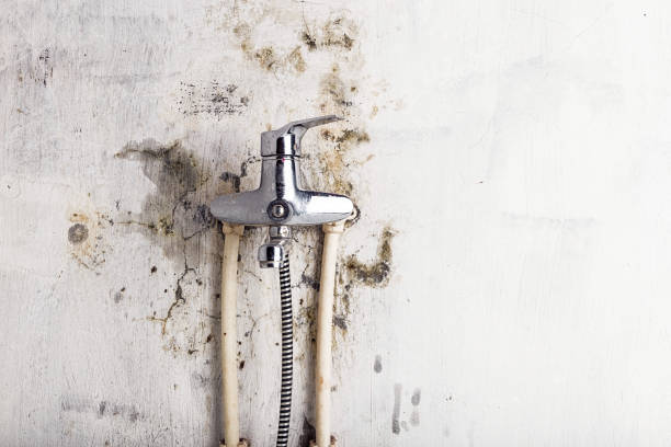 Best Water Damage Restoration  in Visalia, CA
