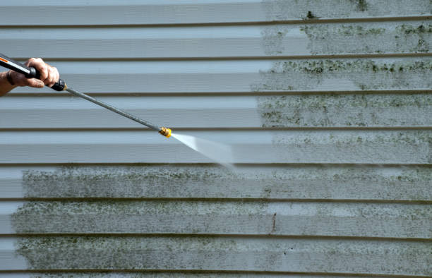 Best Mold Removal and Inspection  in Visalia, CA
