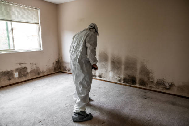 Best Office Mold Removal Services  in Visalia, CA